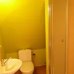 Janosik