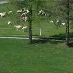 Janosik Privat bolig Bustryk