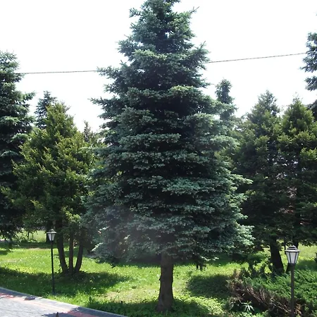 Janosik Δωμάτια σε οικογενειακή κατοικία