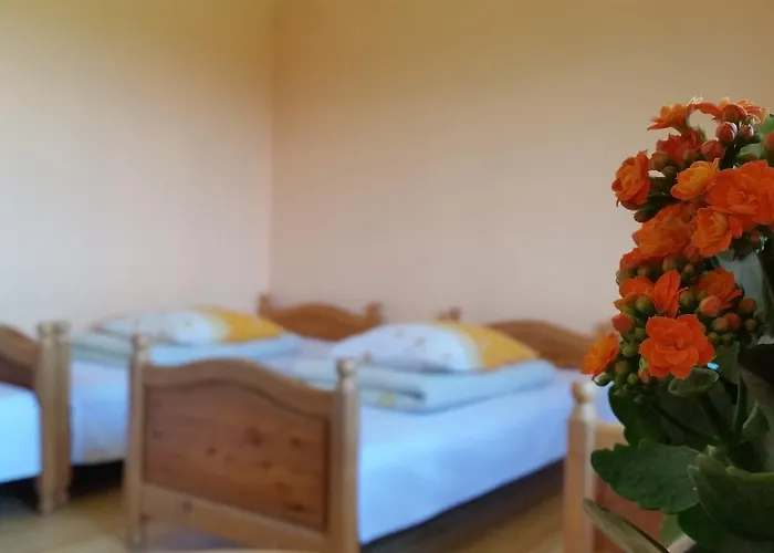 منزل للإقامة Janosik بوستريك