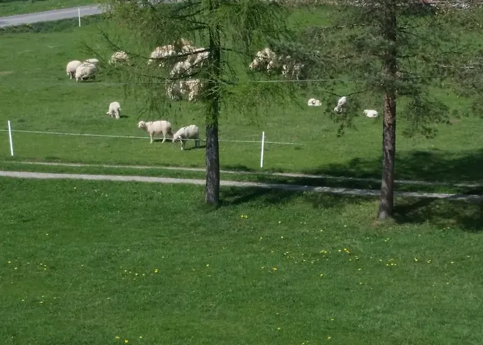 Janosik منزل للإقامة بوستريك